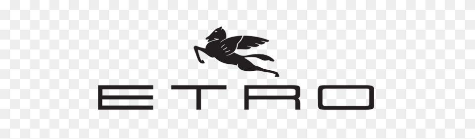 ETRO SONNENBRILLEN category icon/image