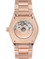 Preview: FC-310MPGRD2NH4B_2.jpg