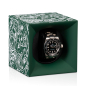 Preview: ABS Starterbox Movement Grün
