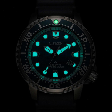 Preview: BN0167-09W_4.jpg