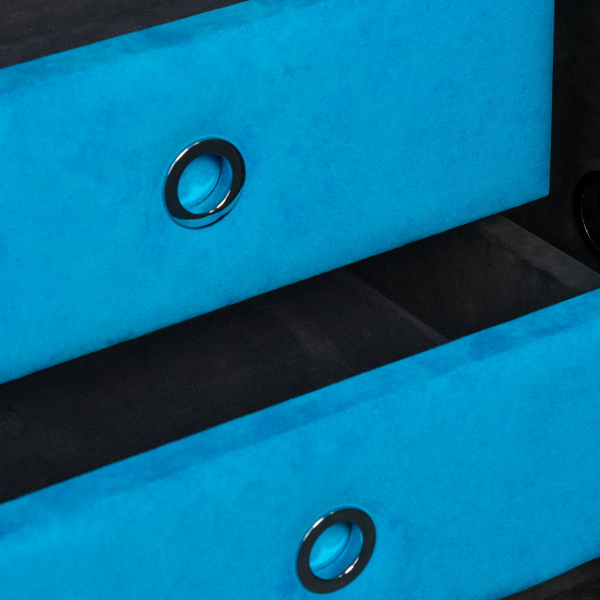 Ambassador  24 Module / WG 1